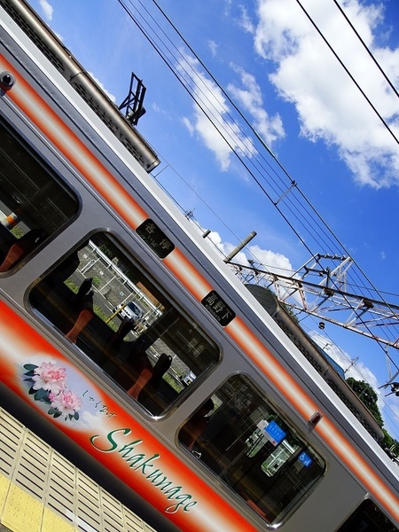 南海2300系ズームカー (橋本駅)