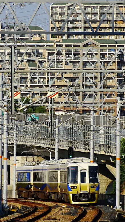 南海11000系泉北ライナー (泉北 ・ 和泉中央駅から)