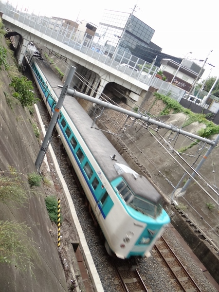 JR西日本381系くろしお (南海:三国ヶ丘駅から)