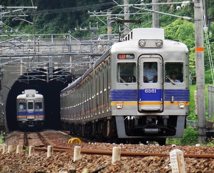 南海6000系 & 6300系 (美加の台1号踏切付近から) ※トリミング加工を施してあります。