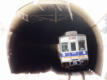南海8200系 (美加の台駅から)