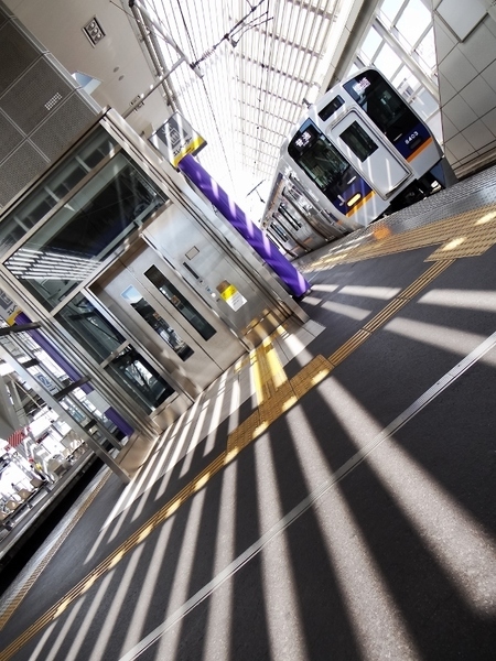 南海8300系