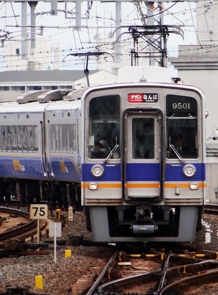 南海12000系+9000系サザン