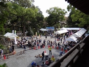 伊太祁曽神社の拝殿から。