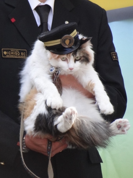 ニタマ様☆
