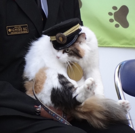 ニタマ様☆