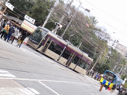 阪堺電軌1001形堺トラム・紫おん & モ701形 (住吉交差点)