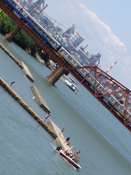 南海12000系+8000系サザン (和歌山市〜紀ノ川)