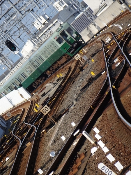 南海7000系サザン・旧塗装車 (泉佐野駅から)
