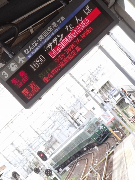 南海7000系サザン・旧塗装車 (尾崎駅)