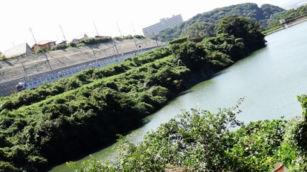 7100系+10000系サザン (三笠池)