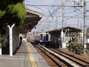 南海8000系 (浜寺公園駅)