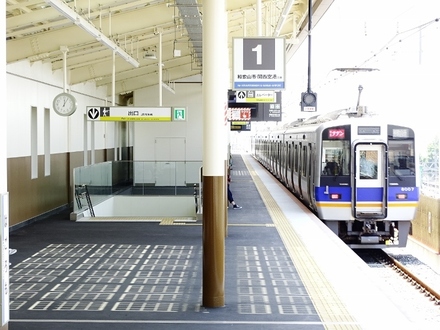 南海8000系サザン (羽衣駅・下り高架ホーム)