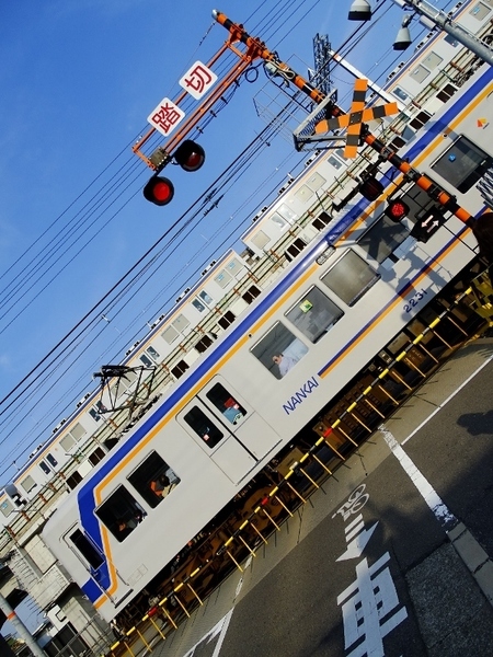 南海7100系 & 2200系30番台 (羽衣3号踏切)