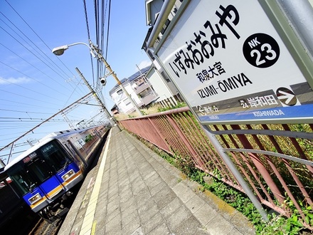 所在地は大阪府岸和田市。停車するのは普通車と準急のみです。