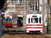 阪堺電軌モ351形 & モ501形 (南霞町駅から)