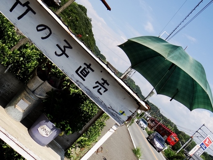 2270系おもちゃ電車 (大池遊園〜山東)