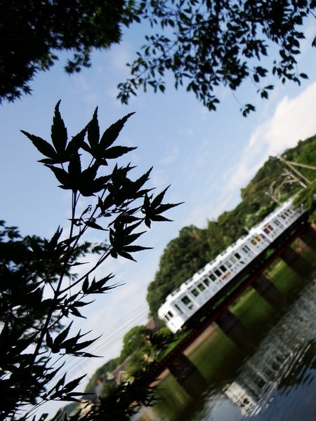 2270系たま電車 (山東〜大池遊園)