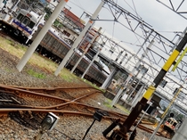 南海6200系 & JR西日本105系・4扉車 (御幸辻2号踏切から)