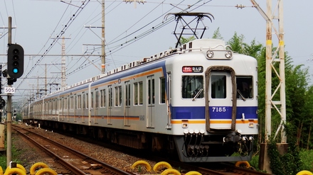 10000系+7100系サザン (淡輪2号踏切から)