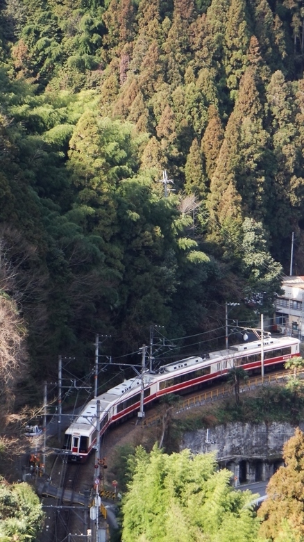 南海31000系こうや (高野下駅付近の高台から)