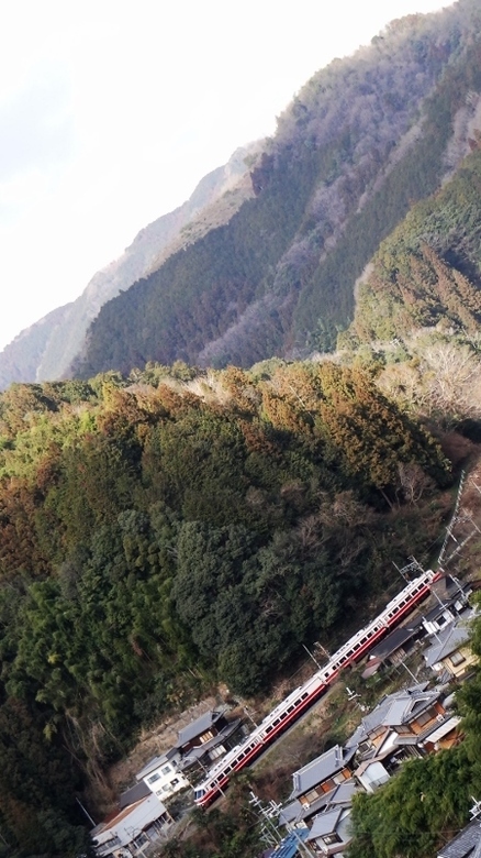 南海30000系こうや (高野下駅付近の高台から)