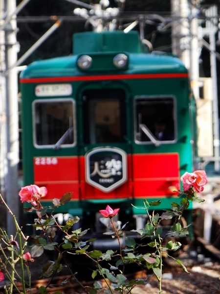 南海2200系天空 (下古沢駅付近)