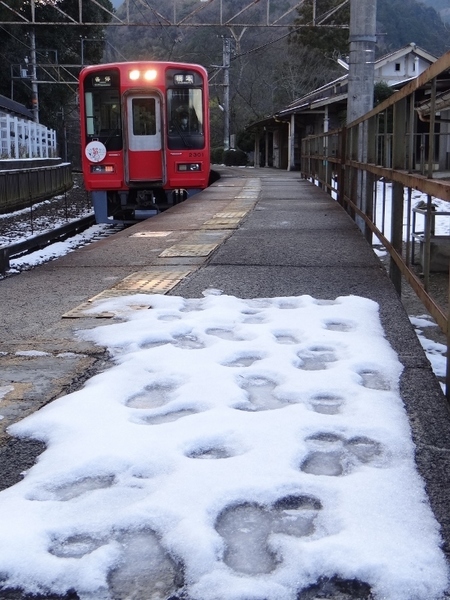 南海2300系ズームカー (下古沢駅)