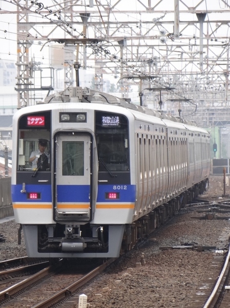 南海8000系+12000系サザン ※トリミング加工を施してあります。