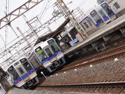 南海8000系 & 2000系ズームカー & 1000系