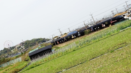 南海50000系ラピート 「スターウォーズ/フォースの覚醒」 号 (みさき公園〜淡輪)