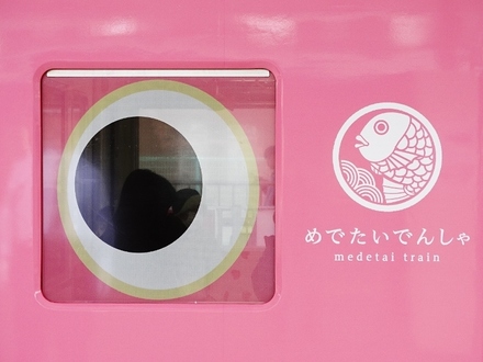 南海7100系めでたいでんしゃ (和歌山市駅)