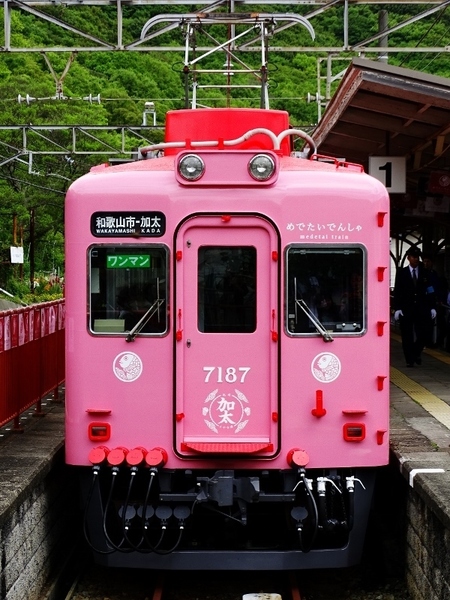 南海7100系めでたいでんしゃ (加太駅)