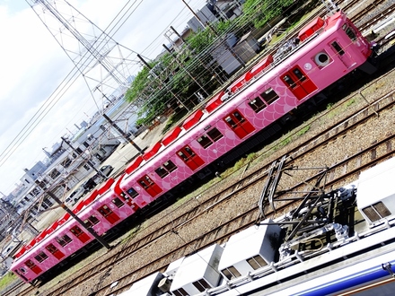 南海7100系めでたいでんしゃ (和歌山市駅)