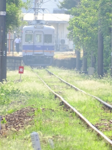 南海7100系ワンマン改造車 (深日港駅付近から)