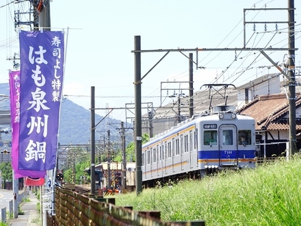 南海7100系ワンマン改造車 (深日港〜深日町)