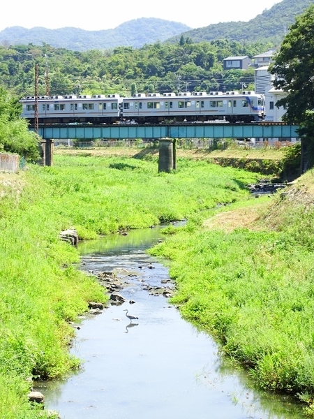 南海7100系ワンマン改造車 (みさき公園〜深日町)