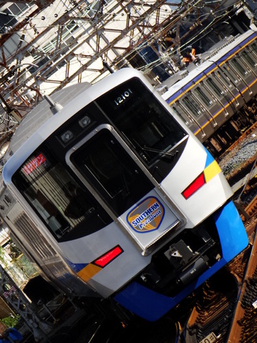 12000系+8000系サザン (和歌山市駅から)