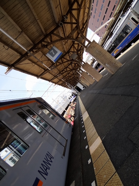 7100系ワンマン改造車 & 12000系サザン・プレミアム (和歌山市駅)